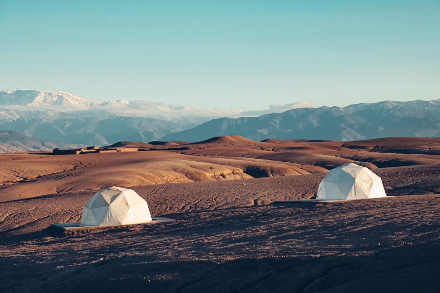 WhatsApp Image 2025-03-21 à 22.41.32_4d1866db.jpg